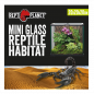 Preview: Mini Glas Terrarium